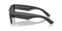 Ray Ban Classic Sunglasses