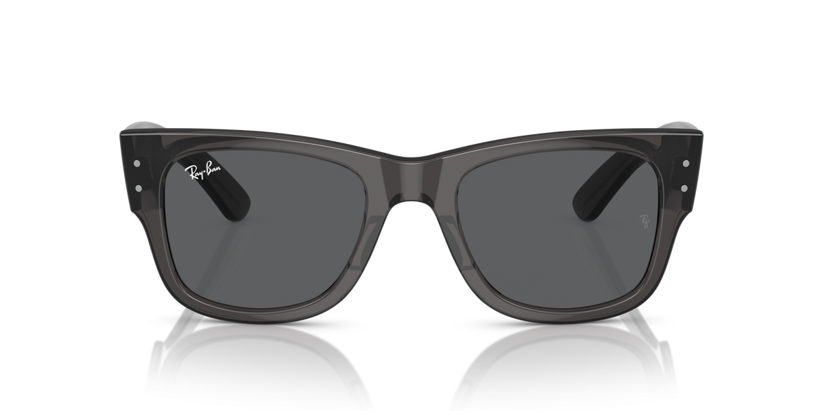 Ray Ban Classic Sunglasses