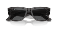 Ray Ban Classic Sunglasses