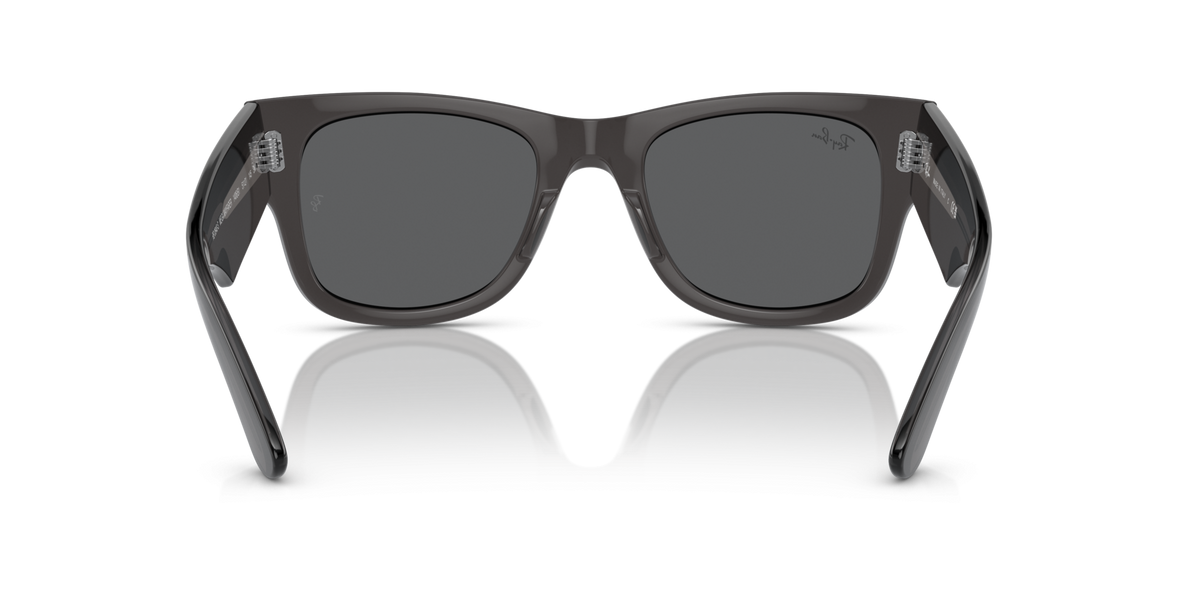 Ray Ban Classic Sunglasses