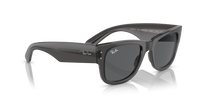 Ray Ban Classic Sunglasses